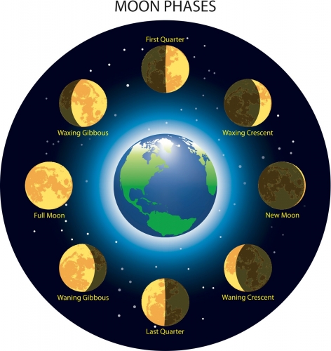 Phases of moon